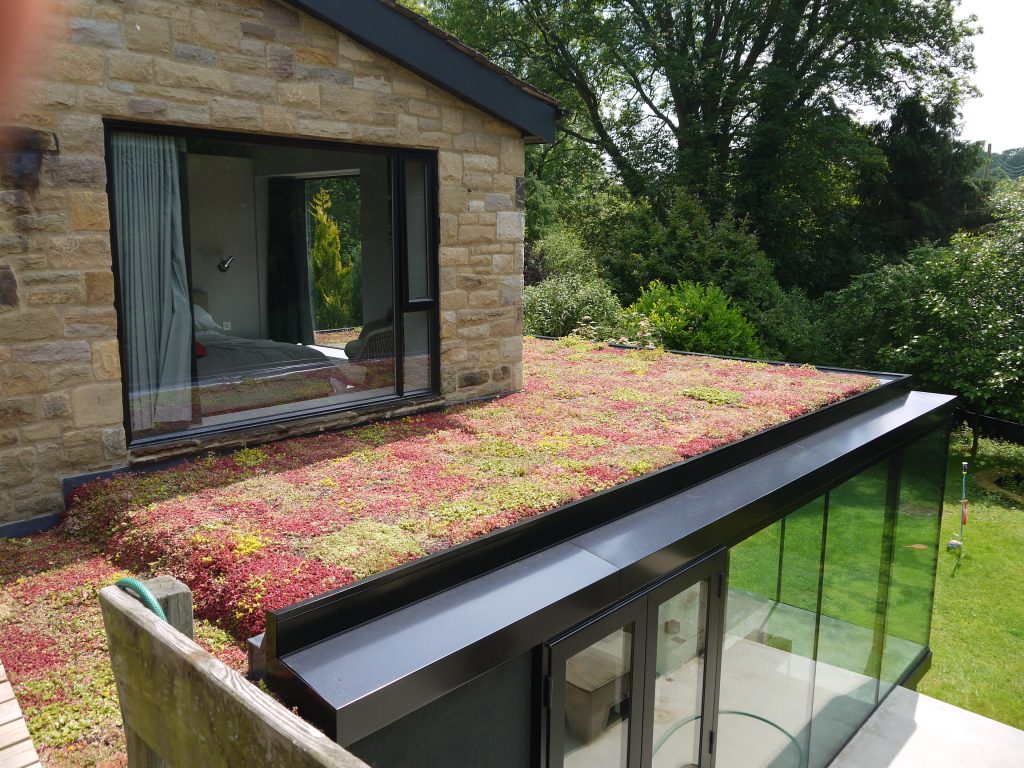 Eco roof extension 